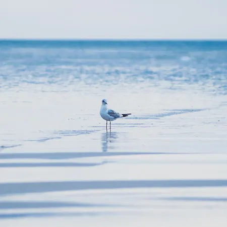 Na Cichej 5 A3 Kołobrzeg